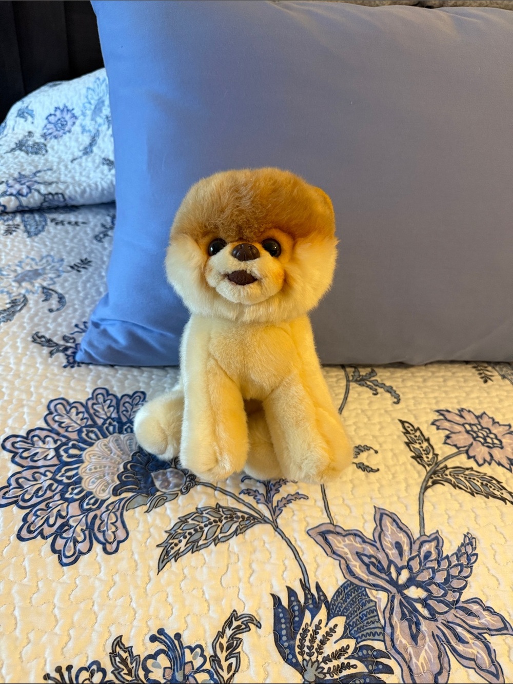 Gund Boo the Pomeranian Stuffed Animal